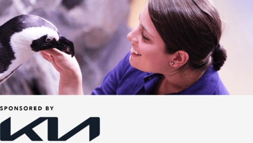 Penguin Encounter 16