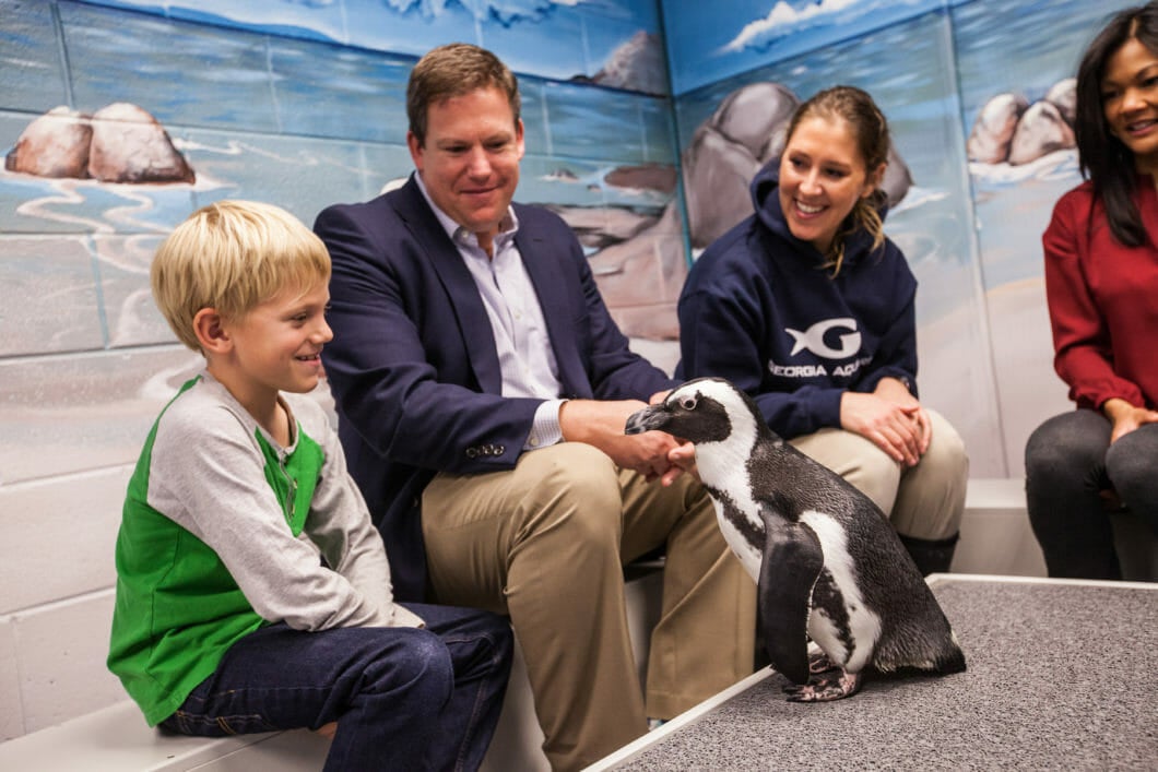 Penguin Encounter 7