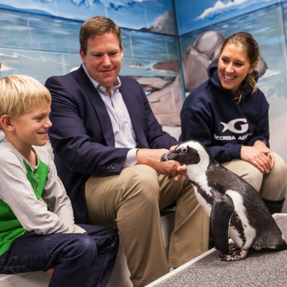 Penguin Animal Encounter & Experience Aquarium