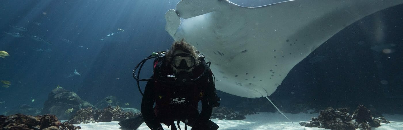 Rebreather Dive Program