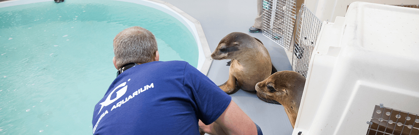 Rescue