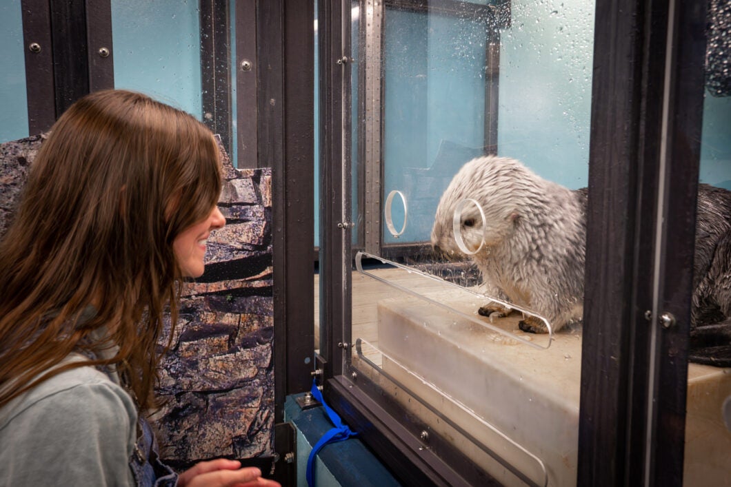 Sea Otter Encounter 21