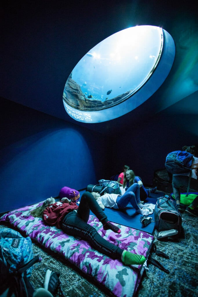 Aquarium Sleep Under The Sea Aquarium