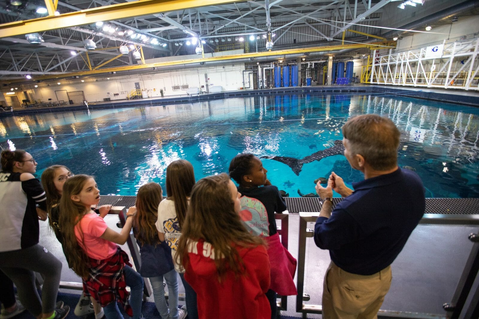 Aquarium Sleep Under The Sea Aquarium
