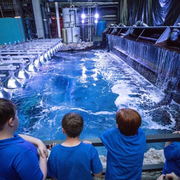 Aquarium Sleep Under The Sea Aquarium