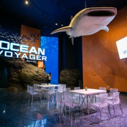 Special Event Spaces 33