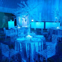 Special Event Spaces 44