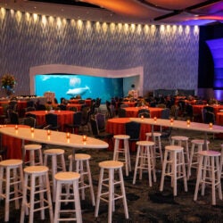Special Event Spaces 46