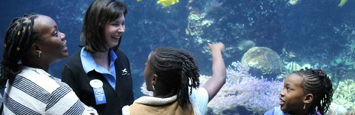 Volunteer Programs