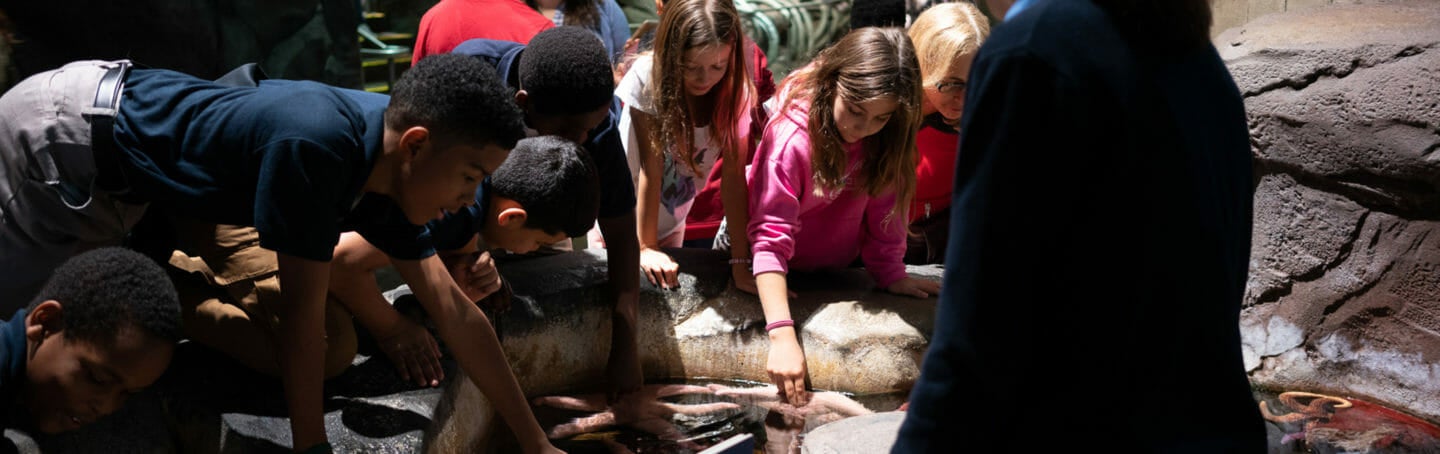 Georgia Aquarium Educator Open House