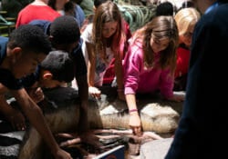 Georgia Aquarium Educator Open House