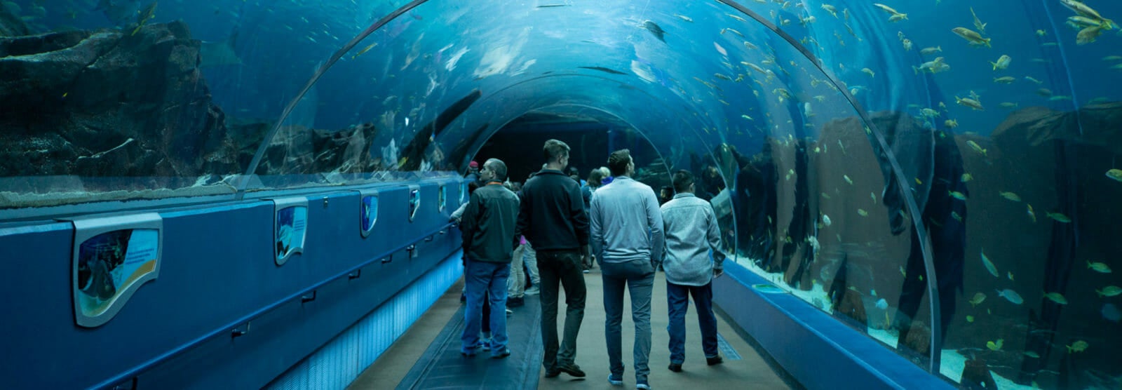 Aquarium Group Tickets Large Parties and Groups