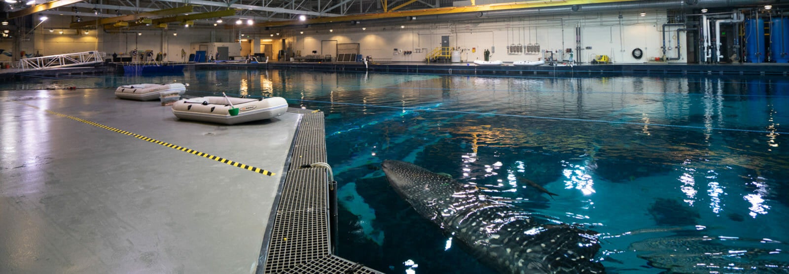 Behind the Seas Tour Private Voyage Aquarium