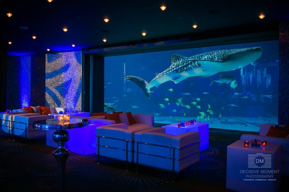 Event Venues In Atlanta Georgia Georgia Aquarium event-venues-in-atlanta-georgia-georgia-aquarium