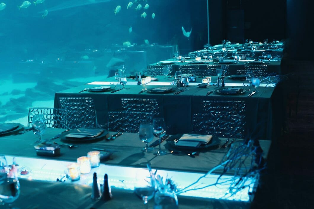 Event Venues In Atlanta Aquarium