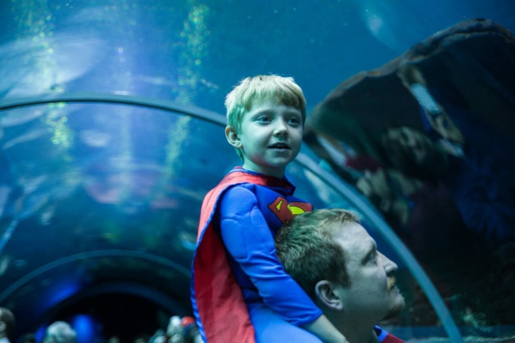 Superhero for the Ocean Day 6