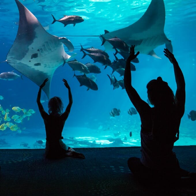 Aquarium Visitor Information Aquarium