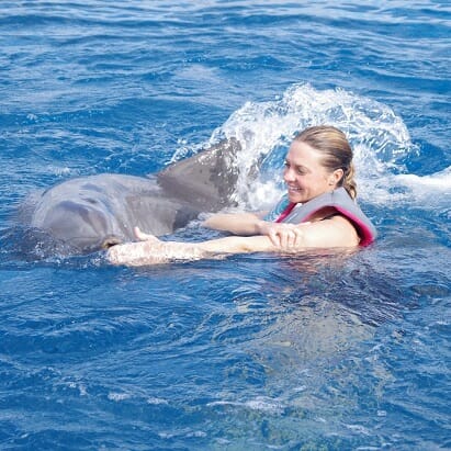 From a Passion to a Profession: My Life as a Dolphin Trainer