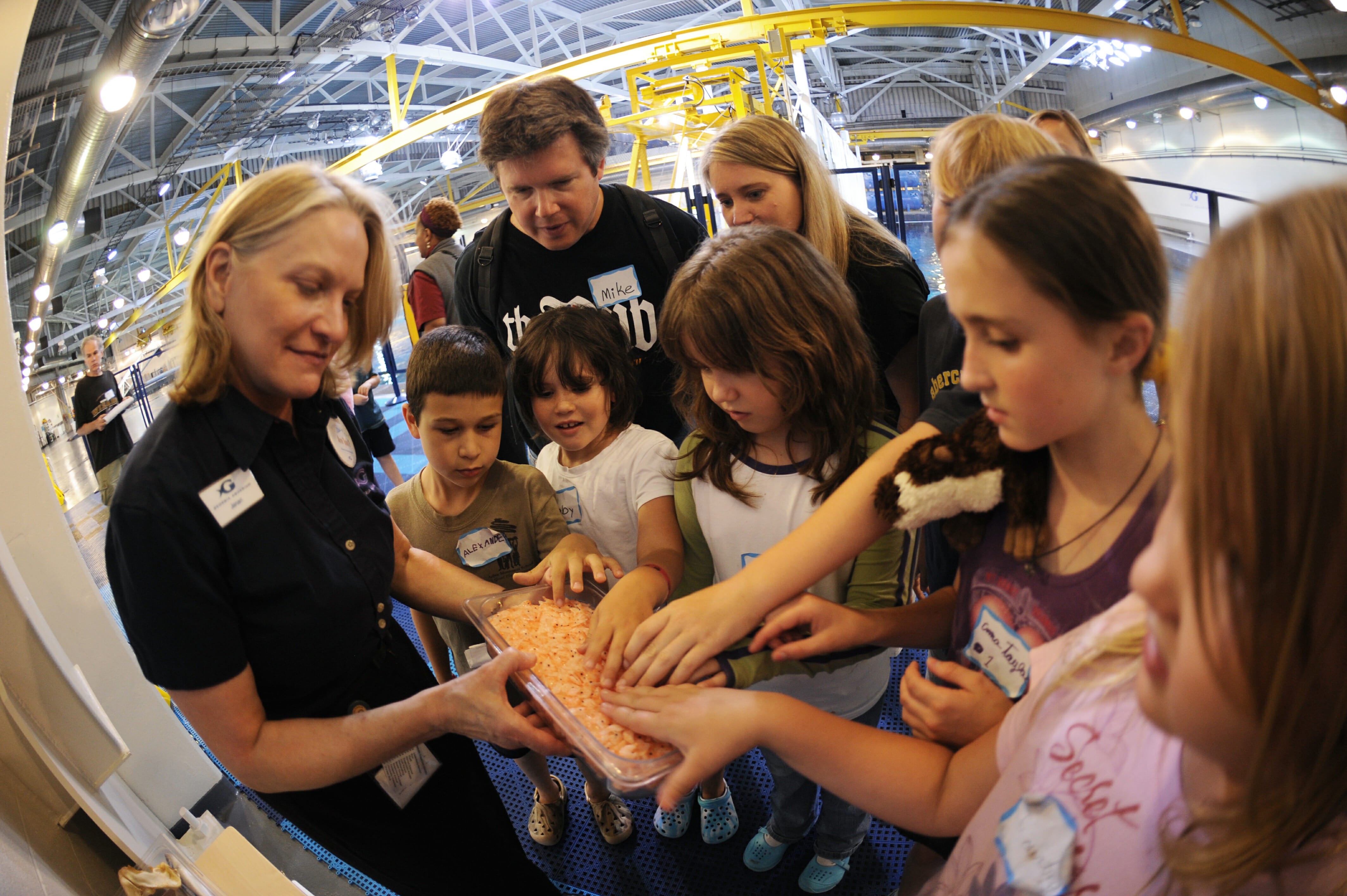Camp H2o Sold Out For 2021 Georgia Aquarium