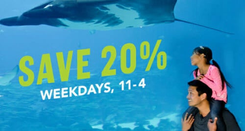 Deep Discounts