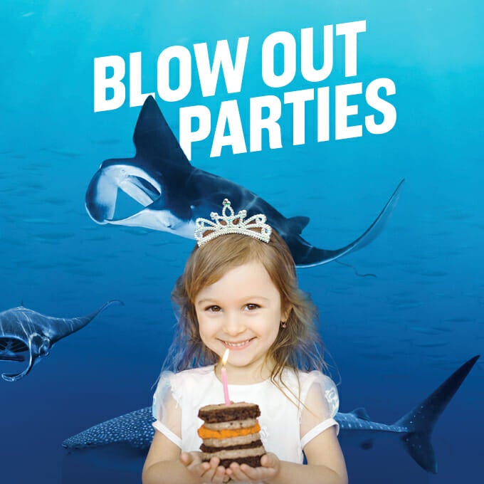 Birthday Offer Aquarium