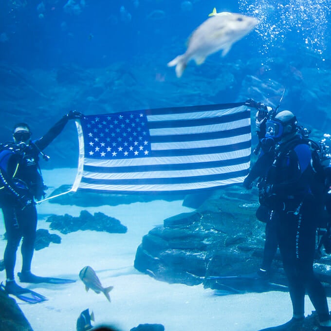 Aquarium Ticket Prices Military Discount Aquarium Views