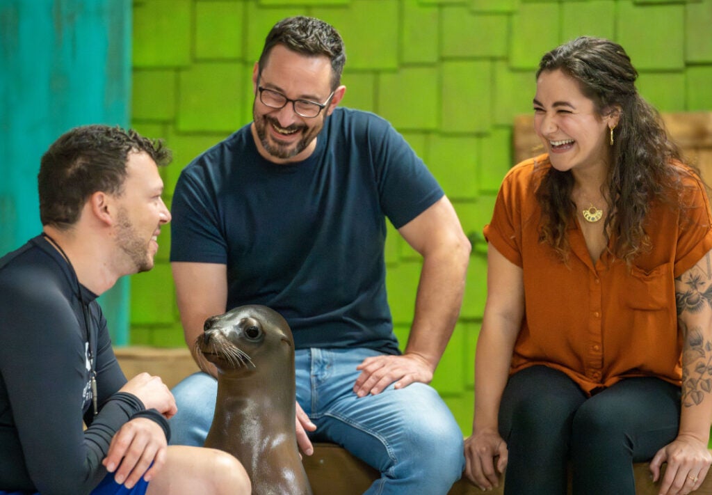 Sea Lion Encounter Aquarium Sea Lion Encounter Buy Today