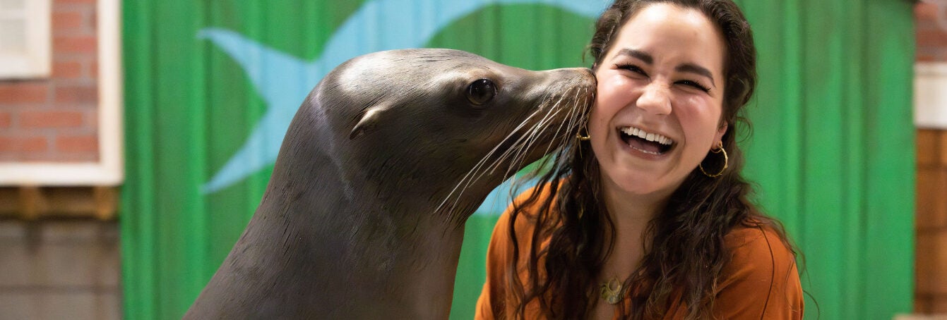 Sea Lion Encounter 19