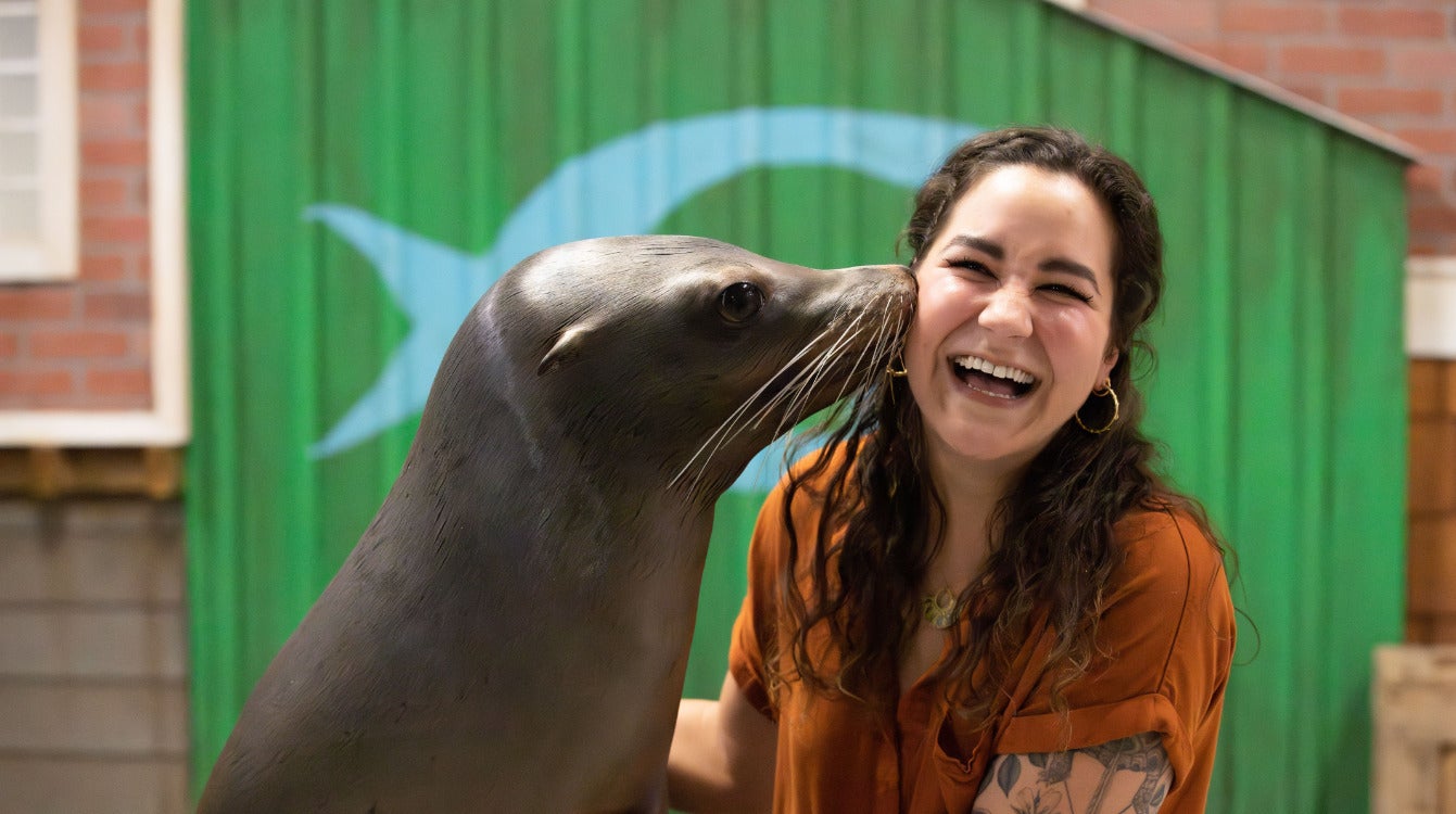 Sea Lion Encounter 19