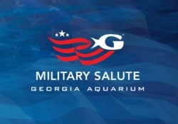 Military Salute Exhibit Unveiled On Veterans Day At Georgia Aquarium 1