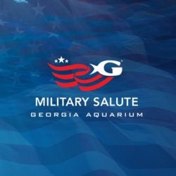 Military Salute Exhibit Unveiled On Veterans Day At Georgia Aquarium 1