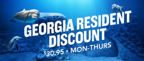 Special Offers 3