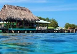 Explore Exotic Central America with Georgia Aquarium 2