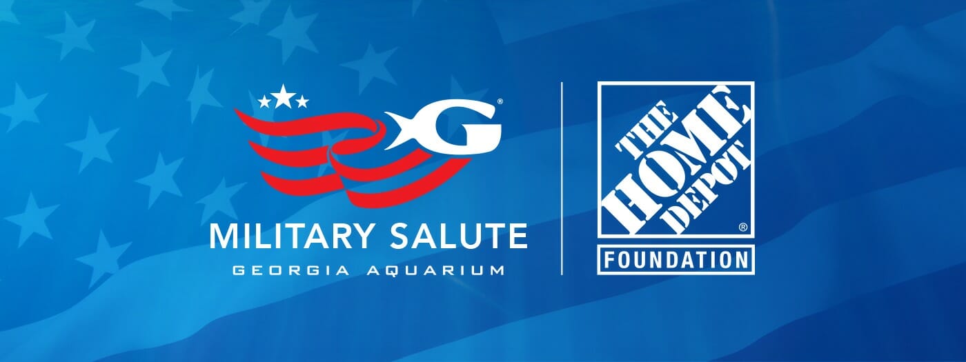Does Atlanta Aquarium Have Military Discount Aquarium Views