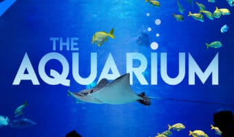 aquarium internships