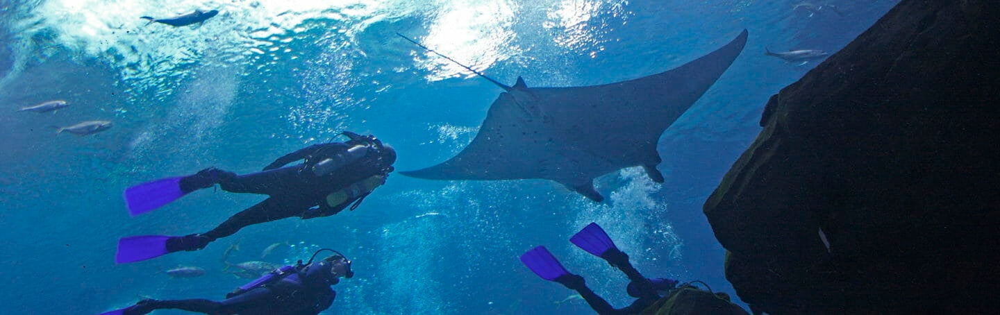 Dive Groups