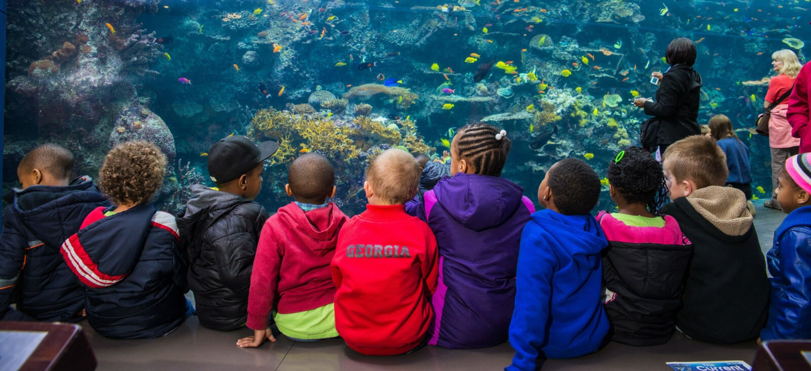 Aquarium Group Tickets Youth and Summer Camps