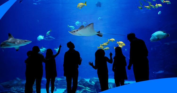 "The Aquarium" 1