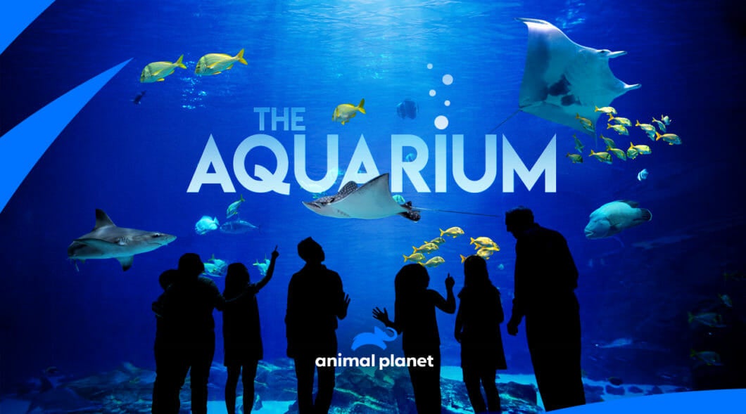 Visit Today | Georgia Aquarium | Located in Downtown Atlanta, Georgia 10