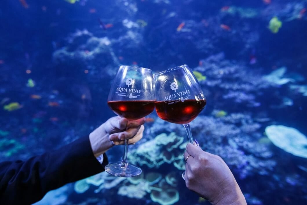 Aqua Vino at the Aquarium Concierge Services of Atlanta