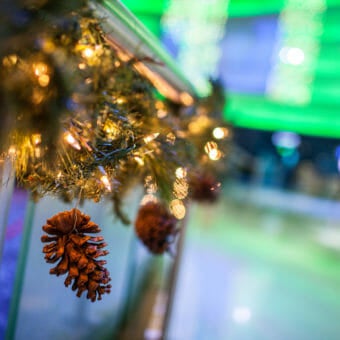 Christmas Tree Lighting (November)