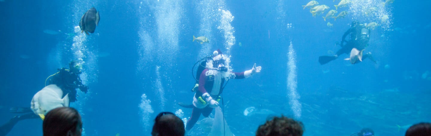 SCUBA Claus 1