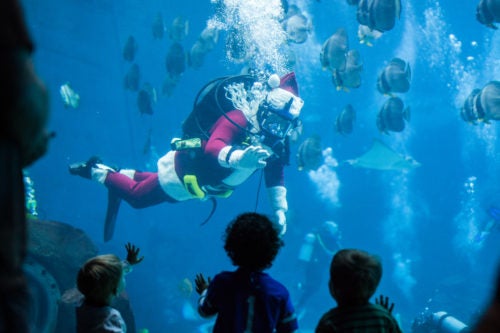 SCUBA Claus 2