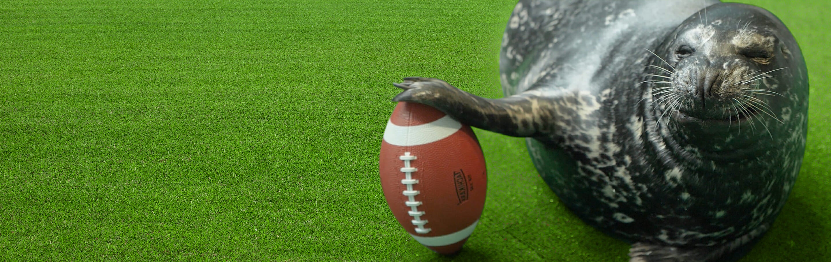 Chick-fil-A Peach Bowl Fan Night 2