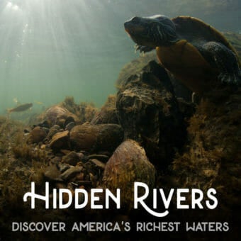 Hidden Rivers 3