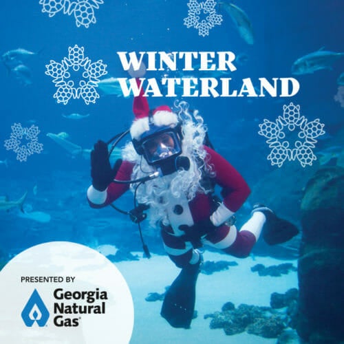 Winter Waterland 14