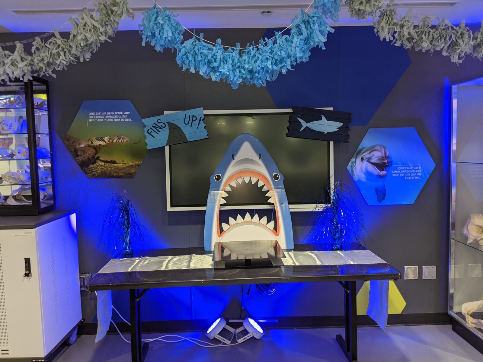 Kids Birthday Parties Aquarium