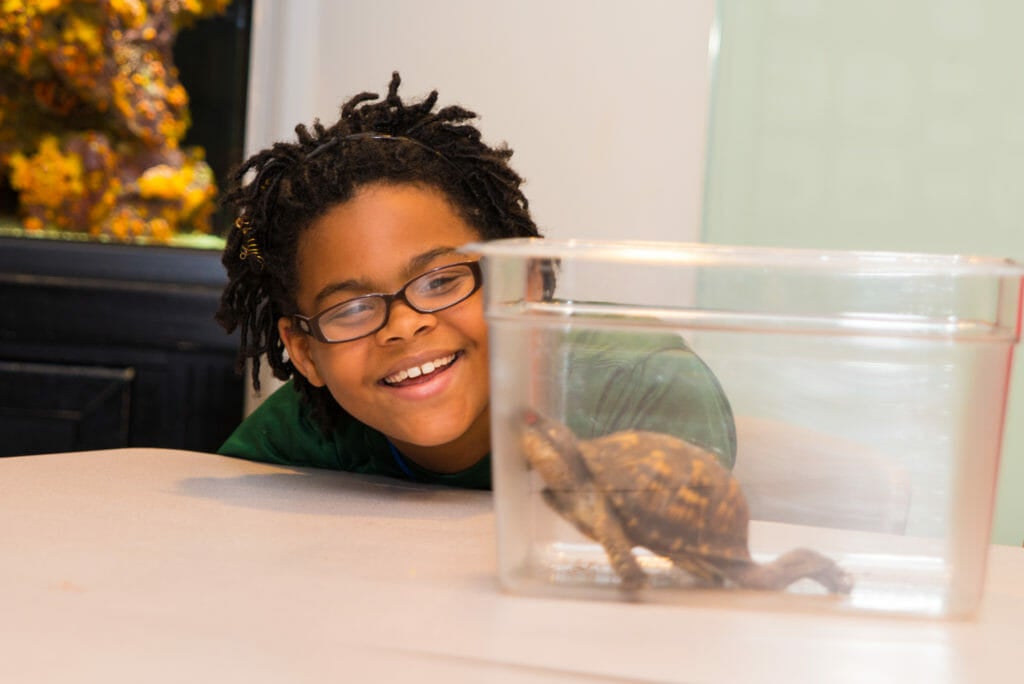Athome Learning with Aquarium Aquarium