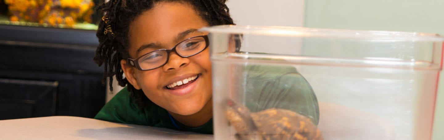 School Programs at the Aquarium