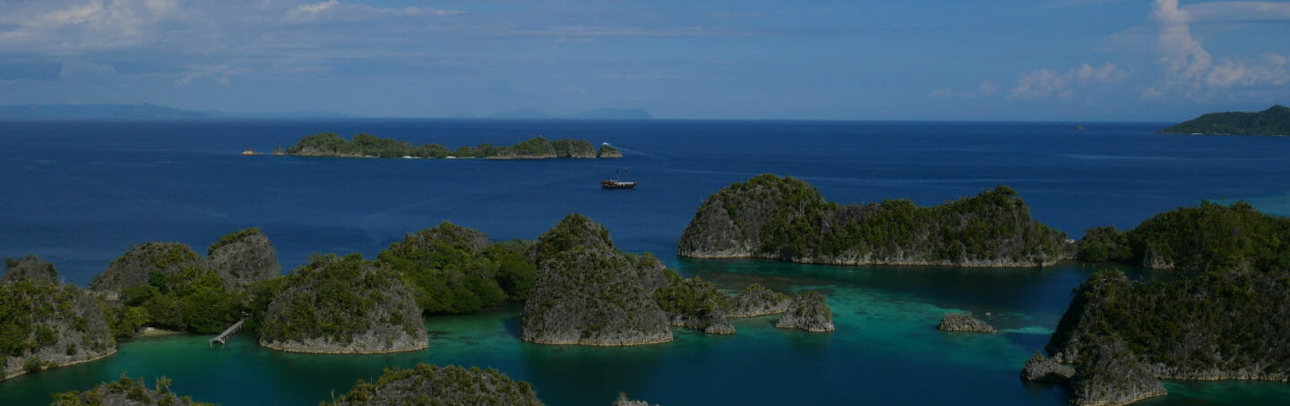 Discover Raja Ampat with Georgia Aquarium 28